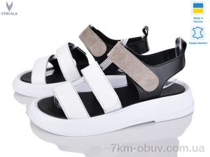 купить оптом Viscala 23212-3T б.ш.+кор.з.