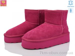 купить PLPS 5854 rose оптом