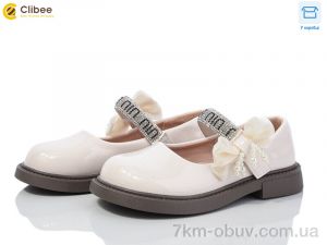 купить Clibee DB619 beige оптом