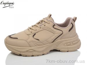 купить Dageni M9905-5 оптом