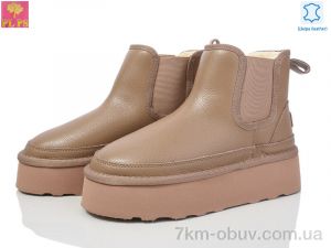 купить PLPS 5854-14 beige оптом