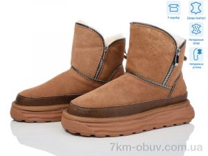 купить КалориЯ 603 brown оптом