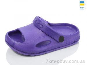 купить оптом SANLIN 2 H9 фіолет