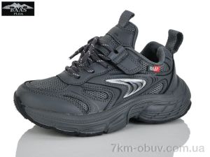 купить оптом Baas K6620-2