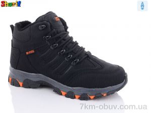 купить Sharif 3024-10 (40-45) оптом