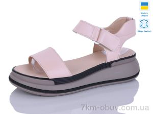 купить Botema 205-1 оптом