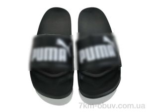 купить оптом Kaia M-PM01-50