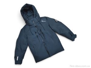 купить Kids-modnik H929-с графіт оптом