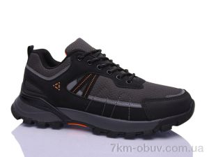 купить оптом Boteli A306-5