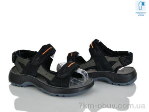 купить оптом KIMBOO T65-3A