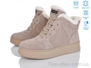 купить Мир 4256-V261-C оптом