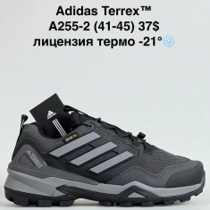 купить Sen.dini A255-2 оптом