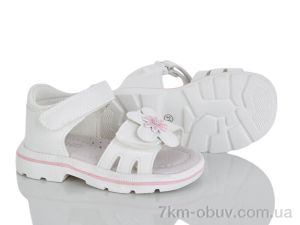 купить KIMBOO FG61-1C оптом