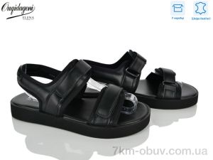 купить Dageni F2235-1 оптом