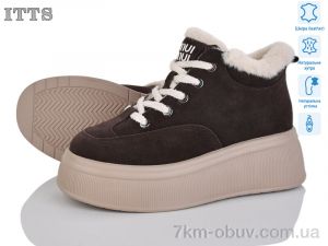 купить ITTS DD7570-41 оптом