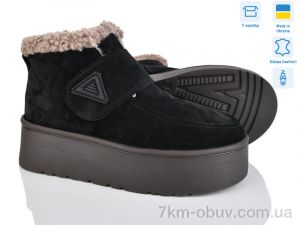 купить Stella Y18 ч.з. оптом