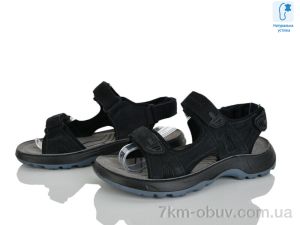 купить оптом KIMBOO T65-4A