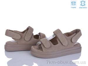 купить L&M-Lemon P517-3 оптом