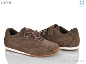купить ITTS SV266-35 оптом