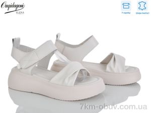 купить Dageni F231-3 оптом
