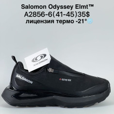 купить Sen.dini A2856-6 оптом
