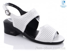 купить MOLO 913L-5 оптом