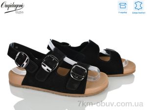 купить Dageni C9421-1 оптом