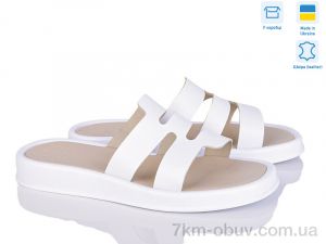 купить Ailinda 337-8 оптом