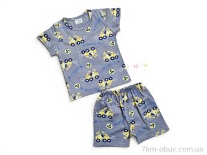 купить Kids-modnik 261920 комплект футболка-шорти сіро-жовтий оптом