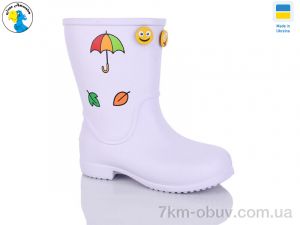 купить Jose Amorales 123160 оптом