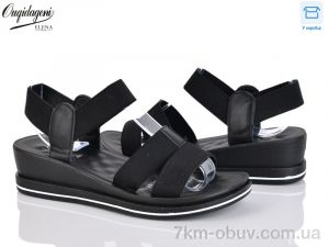 купить оптом Dageni 0952-1