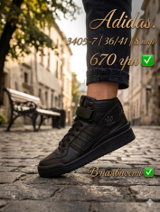 купить Pet 3405-7 оптом