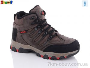 купить Sharif S3024-10 (36-40) оптом