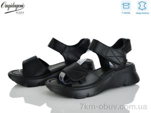 купить Dageni F221-1 оптом
