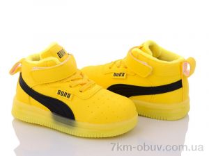 купить Svit K1103-7 оптом