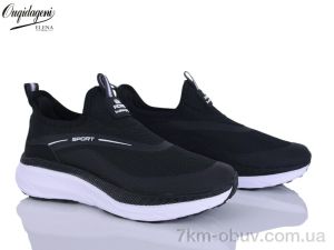 купить Dageni A2771-1 оптом