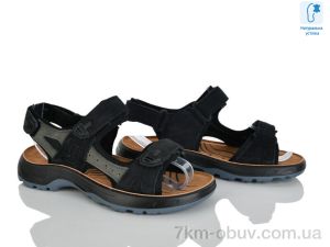 купить оптом KIMBOO T65-4L