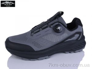 купить Baas W3182-10 оптом