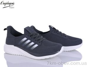 купить оптом Dageni A2590-3