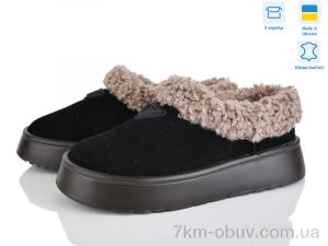 купить Stella Y21 ч.з. оптом