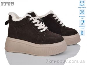 купить ITTS DD7575-41 оптом