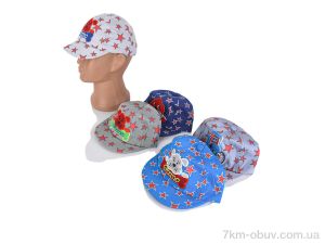 купить Кепочный стиль 0014-2 mix оптом