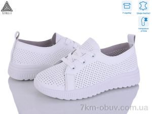 купить STILLI Group P80-1 шкіра оптом