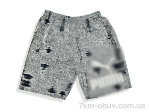 купить Денис спорт 003-6 navy оптом
