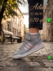 купить Pet 3405-4 оптом