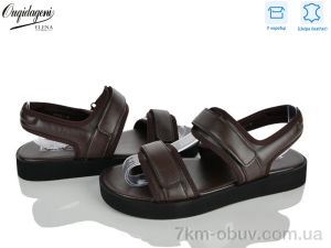 купить Dageni F2235-3 оптом