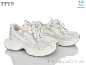 купить ITTS NB905-4 оптом