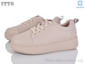 купить ITTS K695-4 оптом