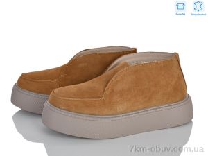 купить оптом Захар-Gold C623-40 шкіра