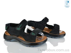 купить оптом KIMBOO T67-3A